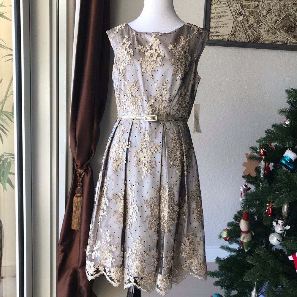 Eliza J Dress 6 NWT